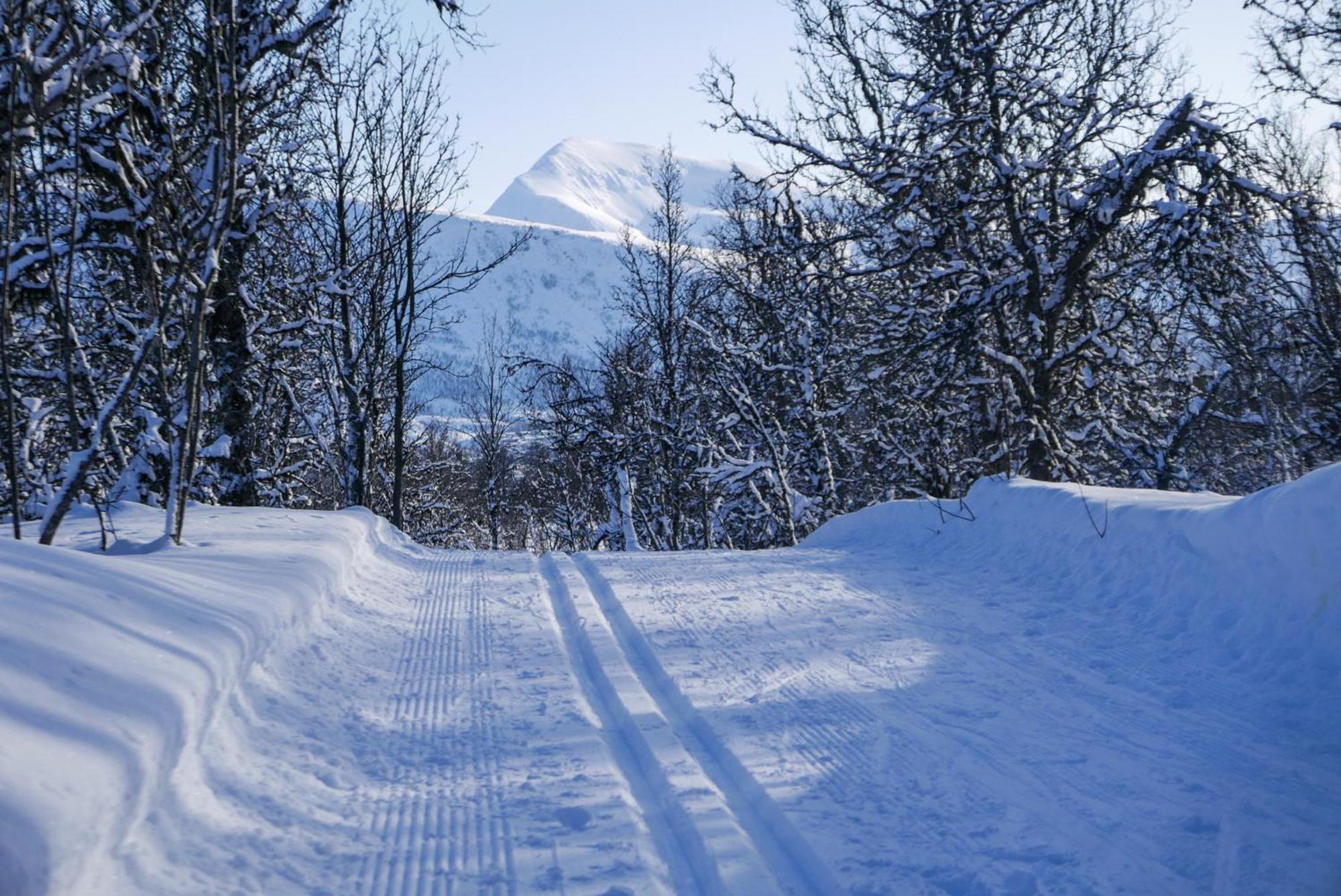 Arctic Retreat - Spacious Apartment Next To Amazing Nature Tromsø Exterior foto